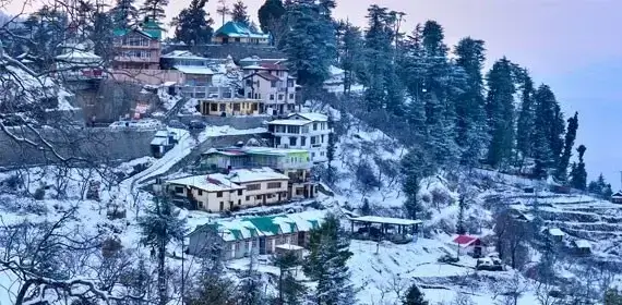 Shimla